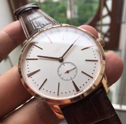 圖1-陸地山貓-用戶-浪琴維修中心